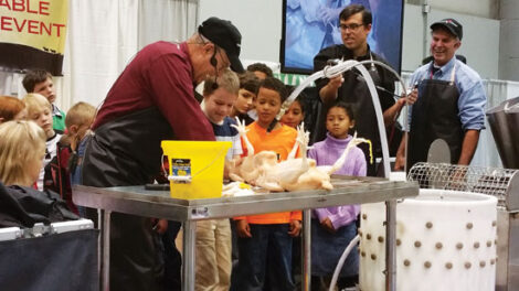 Teaching Young People Ethical Animal Slaughter Image